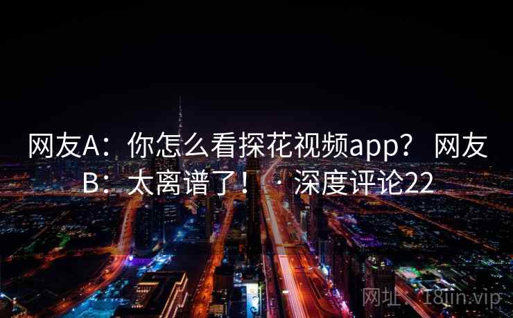 网友A：你怎么看探花视频app？ 网友B：太离谱了！ · 深度评论22