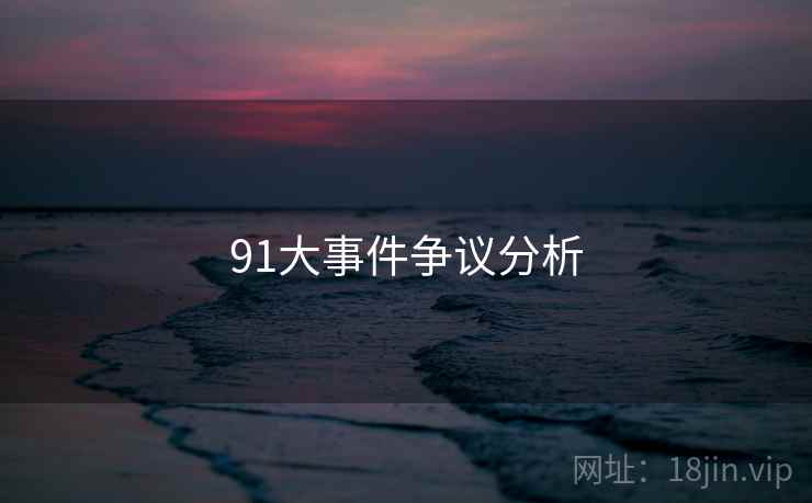 91大事件争议分析
