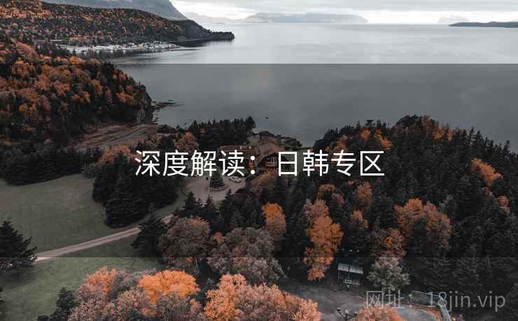 深度解读:日韩专区 深度解读:日韩专区