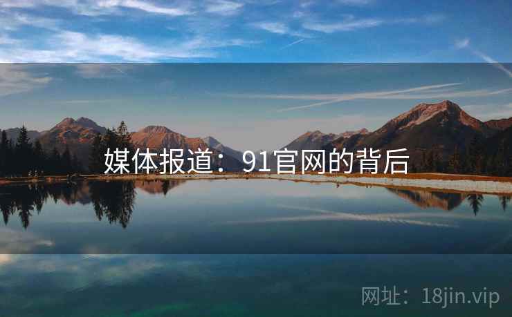 媒体报道：91官网的背后
